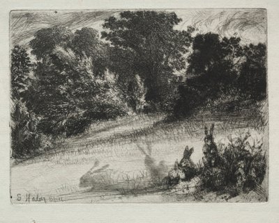 Combe Bottom. بواسطة فرانسيس سيمور هادن