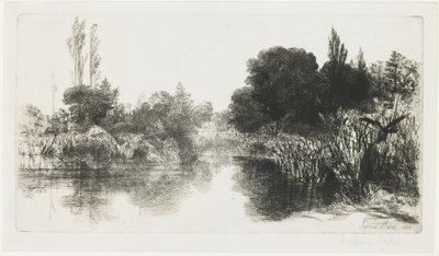 بركة Shere Mill (اللوحة الأكبر) ، 1860 بواسطة فرانسيس سيمور هادن