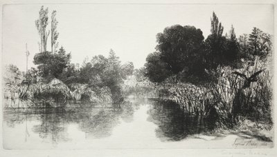 Shere Mill Pond ، رقم 11 اللوحة الكبيرة ، 1860 وما بعدها. بواسطة فرانسيس سيمور هادن
