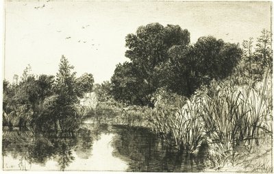 Shere Mill Pond رقم II (صحن كبير) بواسطة فرانسيس سيمور هادن