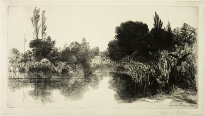Shere Mill Pond رقم II (صحن كبير) بواسطة فرانسيس سيمور هادن