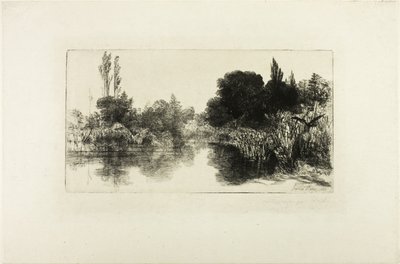 Shere Mill Pond رقم II (صحن كبير) بواسطة فرانسيس سيمور هادن