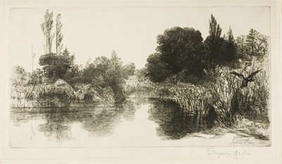 Shere Mill Pond رقم II (صحن كبير) بواسطة فرانسيس سيمور هادن