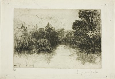 Shere Mill Pond، No. I (لوحة صغيرة) بواسطة فرانسيس سيمور هادن