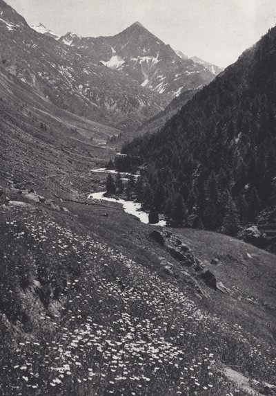 جبال الألب الشرقية: في Windach Tal (صورة b / w) بواسطة فرانسيس سيدني سميث