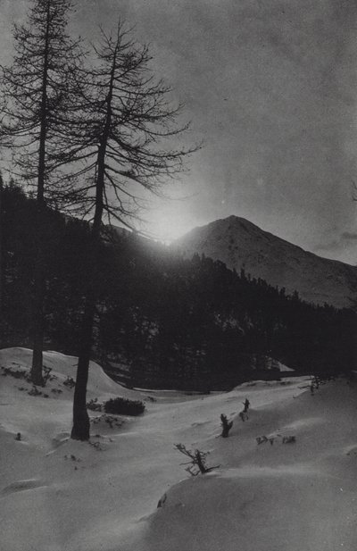 جبال الألب: بالقرب من Obergurgl (صورة b / w) بواسطة فرانسيس سيدني سميث