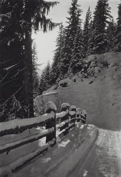 جبال الألب: Winter Morning ، بالقرب من St Anton (b / w photo) بواسطة فرانسيس سيدني سميث