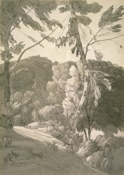 No.1091 منظر طبيعي مشجر (مشهد في Indinowle) 1783 (قلم رصاص ، قلم وحبر مع غسيل على الورق) بواسطة فرانسيس تاون