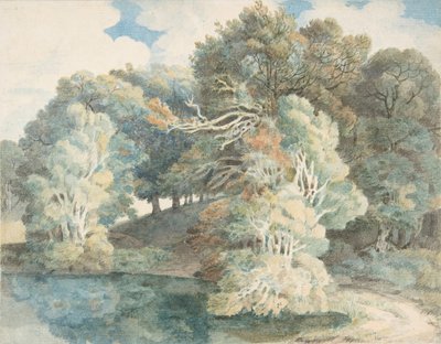 أشجار بجانب البحيرة ، متنزه بيمور ، بالقرب من إكستر ، ديفون ، 1790-1810. بواسطة فرانسيس تاون