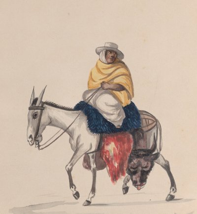 جزار يركب حمارًا ، من مجموعة رسومات تصور زيًا بيروفيًا ، كاليفورنيا. 1848. بواسطة فرانسيسكو