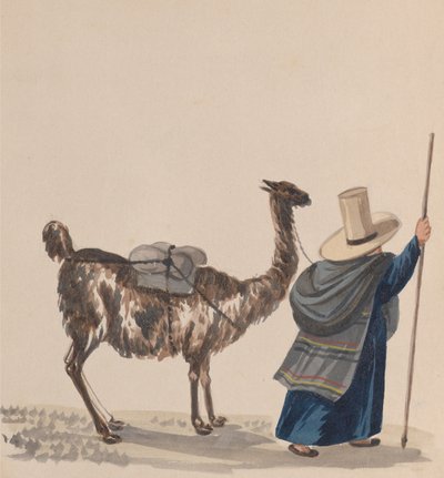 امرأة تمشي مع لاما ، من مجموعة رسومات تصور زيًا بيروفيًا ، كاليفورنيا. 1848. بواسطة فرانسيسكو