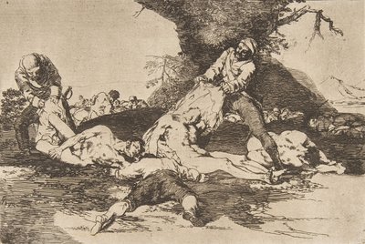 اللوحة 16 من كوارث الحرب Los Desastres de La Guerra: هم ... ، 1810 نشر عام 1863. بواسطة فرانسيسكو دي جويا