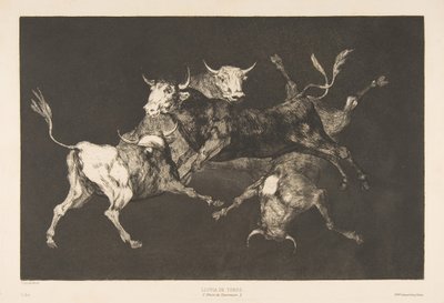 اللوحة D من التباينات: الحمقى أو الثيران الصغيرة - حماقة ، كاليفورنيا. 1816-23 نشر 1877. بواسطة فرانسيسكو دي جويا