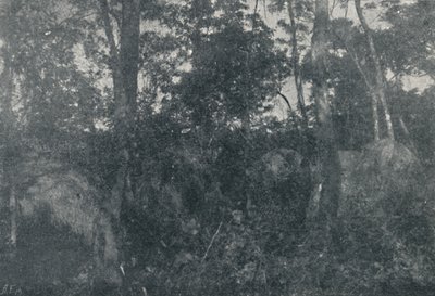 كاباناس دي إنديوس ، 1895 بواسطة فرانسيسكو هينزلر