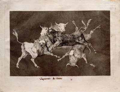 الحمقى الحمقى من سلسلة Los Disparates Follies ، 1815-1819 بواسطة فرانسيسكو دي جويا