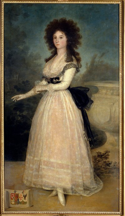 صورة على سفح دونا تاديا أرياس دي إنريكيز لوحة لفرانشيسكو دي جويا (1746-1828) (Ec. Esp) القرن الثامن عشر مدريد. متحف دو برادو - صورة بالحجم الكامل لدونا تاديا أرياس دي إنريكيز. رسم فرانسيسكو دي جويا (1746-1828) (المدرسة الإسبانية) الثامن عشر بواسطة فرانسيسكو دي جويا