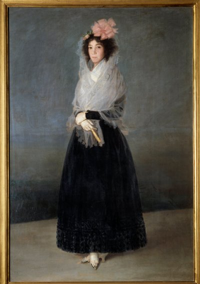 صورة للكونتيسة ديل كاربيو ، مركيز سولانا (1757-1795) لوحة لفرانسيسكو دي جويا (1746-1828) من القرن الثامن عشر. 1،81 × 1،22 م بواسطة فرانسيسكو دي جويا