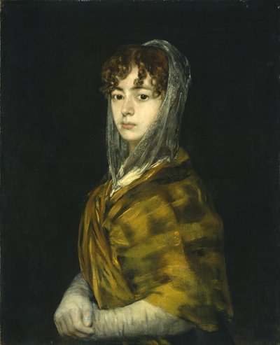سينورا ساباسا غارسيا ، 1806-11 (زيت على قماش) بواسطة فرانسيسكو دي جويا