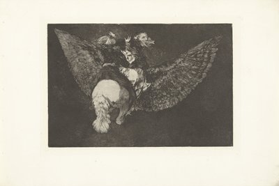 Flying Flying Disparate volante Los Disparates (The Follies) (عنوان السلسلة) Los Proverbios (الأمثال) (عنوان السلسلة) بواسطة فرانسيسكو دي جويا