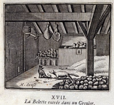 دخل La Weasette إلى Grenier. أساطير جان دي لافونتين (1621-95). رسم توضيحي لفرانسوا تشوفو (1613-1676). طبعة 1728. بواسطة فرانسوا شوفو