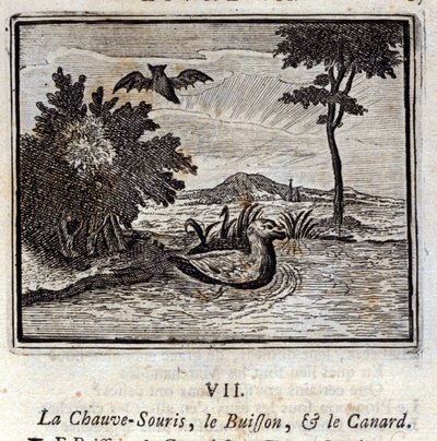 الخفاش والأدغال والبط. أساطير جان دي لافونتين (1621-95). رسم توضيحي لفرانسوا تشوفو (1613-1676). طبعة 1728. بواسطة فرانسوا شوفو