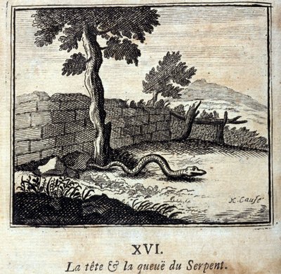 رأس وذيل الأفعى. أساطير جان دي لافونتين (1621-95). رسم توضيحي لفرانسوا تشوفو (1613-1676). طبعة 1728. بواسطة فرانسوا شوفو