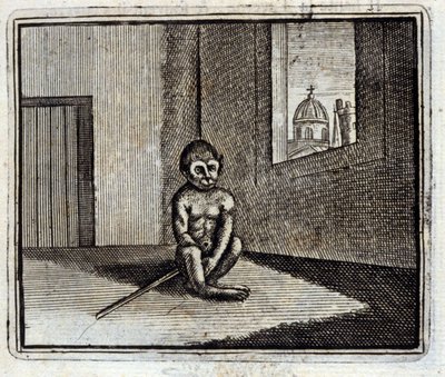 القرد. أساطير جان دي لافونتين (1621-95). رسم توضيحي لفرانسوا تشوفو (1613-1676). طبعة 1728. بواسطة فرانسوا شوفو