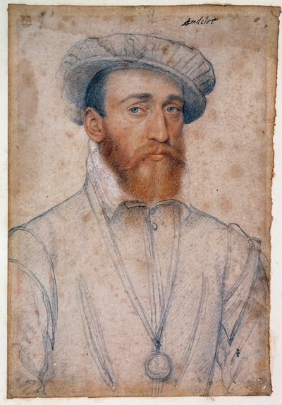 صورة لفرانسوا دي كوليجني ، سيد أندلوت (1521-1569). رسم دم وحجر أسود بواسطة كلويه فرانسوا (1515-1572) بواسطة فرانسوا كلويت
