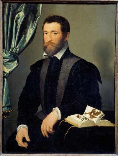 صورة للطبيب بيير كوث (1519-apres 1588) رسم فرانسوا كلويت (1515-1572) 1562 صن. 0،91 × 0،7 م - صورة للطبيب بيير كوث (1519 - حوالي 1588). لوحة فرانسوا كلويه (1515-1572) بواسطة فرانسوا كلويت