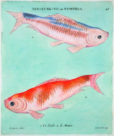 ذهبية صينية ، القرن الثامن عشر بواسطة فرانسوا نيكولا مارتينيه