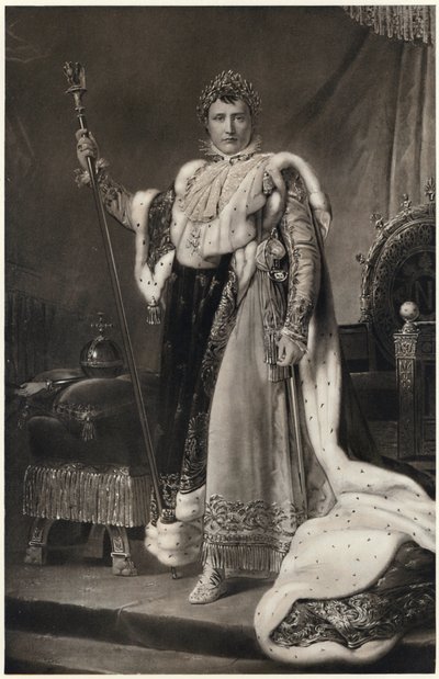 نابليون بونابرت مرتديًا رداءه الإمبراطوري (صورة حجرية) بواسطة فرانسوا باسكال سيمون (بعد) جيرارد