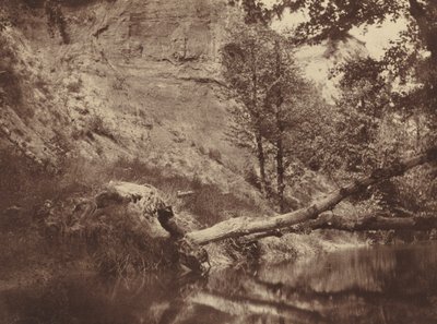 ريفربانك ، ج. 1855. بواسطة فرانك شوفاسيني