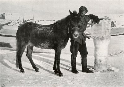 Gran with Mule Lal Khan، c1911، 1913 بواسطة فرانك دبنهام