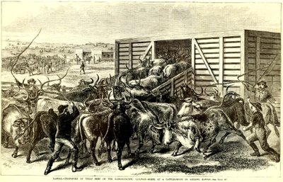 مزلق الماشية في أبيلين ، كانساس ، ج. 1871 (نقش) بواسطة فرانك ليزلي
