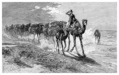 الإبل تحمل الصوف 1886. بواسطة فرانك بي ماهوني