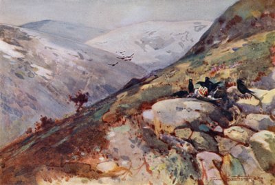 Near Kielder (colour litho) بواسطة فرانك ساوثجيت