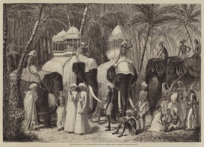 فيلة راجا ترافانكور بواسطة فرانك فيزيتيلي