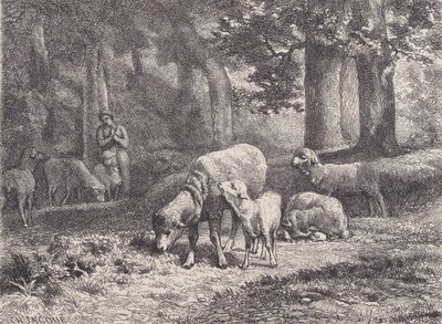 الأغنام من ماجاسين بيتوريسك 1862. بواسطة فرانسوا روجيت