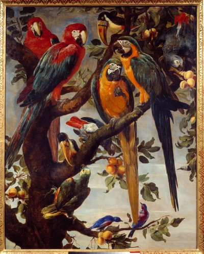الببغاوات والطيور الأخرى لوحة لفرانس سنايدرز (1579-1657) القرن السابع عشر صن. 1،22x0،98 م غرونوبل ، متحف الفنون الجميلة بواسطة فرانس سنايدر