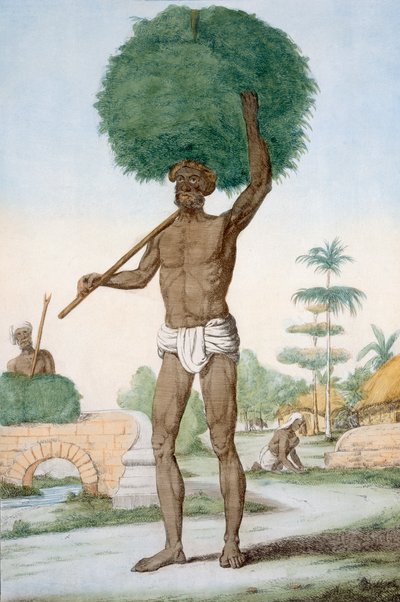 خادم هندوسي يقطع العشب ، "الهندوس ، أو وصف أخلاقهم ، وأزيائهم واحتفالاتهم" ، c.1808-12 (النقش الملون) بواسطة فرانز بالتازار سولفينز