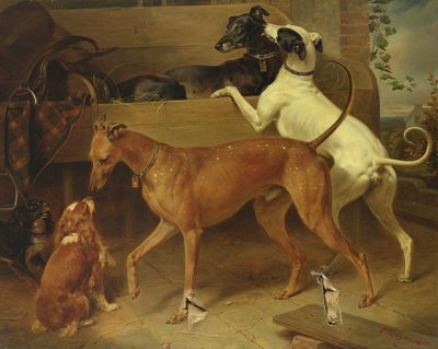 كروجرز دوغز ، 1855 بواسطة فرانز كروجر
