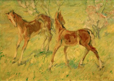 مهرا في المراعي (مهرا القفز) بواسطة فرانز مارك