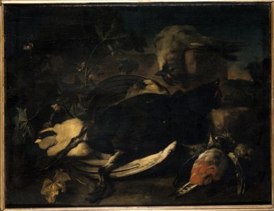 طائر ميت بواسطة Franz Werner Tamm