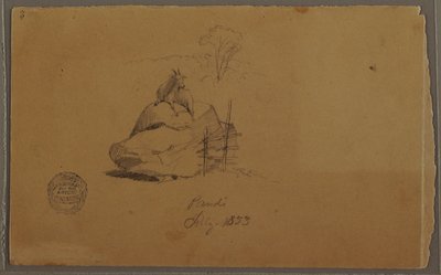 رسم، ماعز في باندي، كولومبيا، يوليو 1853 بواسطة كنيسة فريدريك إدوين