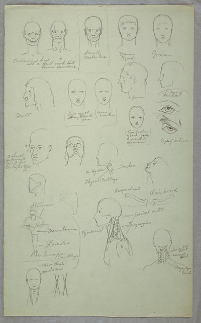 رسم، دراسات تشريحية، 1865-70 بواسطة كنيسة فريدريك إدوين