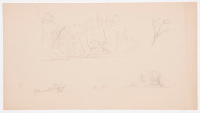 رسم، رسومات نباتية: شجرة، أشجار على الشاطئ، سبتمبر 1876 بواسطة كنيسة فريدريك إدوين