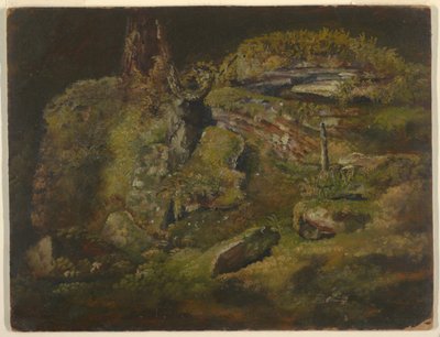 رسم، صخرة في الغابة، حوالي عام 1845 بواسطة كنيسة فريدريك إدوين