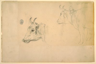 رسم، ماشية، سبتمبر 1844 بواسطة كنيسة فريدريك إدوين