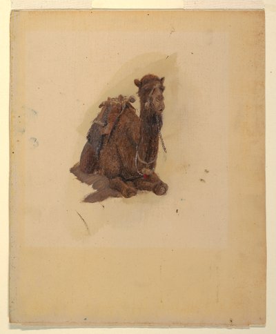 رسم، الجمل العربي الرابض، 1868 بواسطة كنيسة فريدريك إدوين