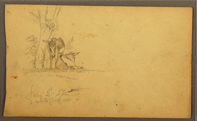 رسم، حمير، 2 يونيو 1857، 2 يونيو 1857 بواسطة كنيسة فريدريك إدوين